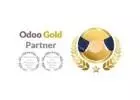 Odoo Partners In India