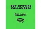 Buy Spotify followers and get credibility