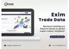 Turkey Access panel Export Data | Global import export data provider