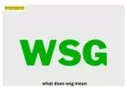 What Does WSG actually Mean?