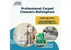 Revitalize Your Space: Bellingham's Premier Carpet Cleaning Professionals