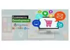 E-Commerce Web Design Company In Noida
