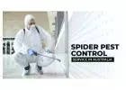 Spider Pest Control Service in Australia
