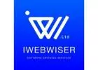 Your Source for Expert & Unique Insights - iWebwiser Blogs
