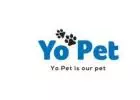 Online Pet Accessories Store