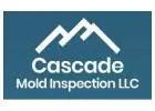 Expert Mold Inspections in Skagit County, WA: Protect Your Property Today!