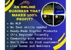 Attention Online Entrepreneurs! Maximize Your Online Business Success Now!