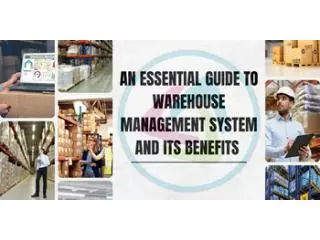 Exploring the Essentials of Traditional Warehouse Management