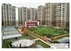 Great opportunity  - Flats for rent in Stellar Jeevan