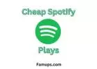 Increase Your Play Count By Buying Cheap Spotify Plays