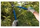 Toby Stone Tree Surgeon Ltd: Your Trusted Tree Care Specialists in Croydon! 