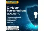 Cyber expert near me | cyber forensics services