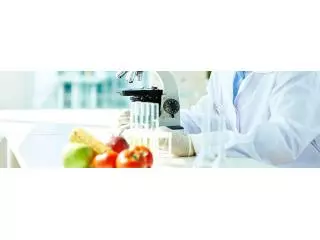 ISO 22000 2018 Food safety management system
