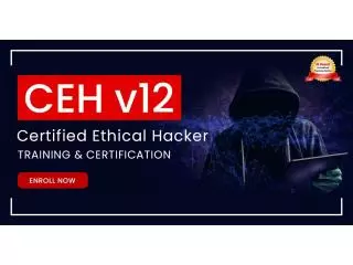 Ethical Hacker Online Training Course 