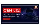 Ethical Hacker Online Training Course 