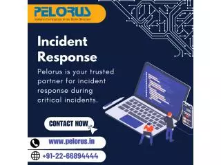 Incident Response | Digital Forensics Tool