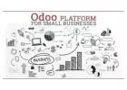 Future-Proof Your Operations: Choose Zehntech's Odoo Development for Lasting Success 