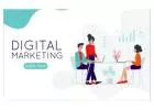 Best Digital Marketing Training in Noida