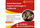 Curse Removal Experts Astrologer in Hayward