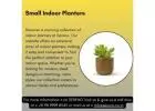 Buy Pots and Planters Online | Indoor Planters - Sereno
