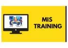 MIS Training Institute in Noida