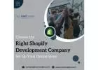 Boost Your Online Presence with the Reliable Shopify Development Agency