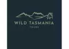 Discover the Wineglass Bay Tasmania Tours