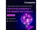 Plurance - Wise choice to create your crypto payment gateway