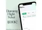 Dummy Flight Ticket.