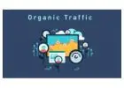 Quality Organic Traffic To Your Site Everyday!!