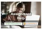 Get Assignment Help Online From No1AssignmentHelp.Com