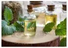 India's Top Hair Growth Oils in 2024