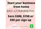 You can earn $100-$300 per day simply by posting ads on the websites we show you! 