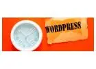 WordPress Development Services in Ahmedabad