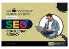 Jay Mehta - Leading SEO Consulting Agency