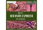 Find Best Red Onion Exporter in India