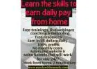 Work from home Earn in US Dollars daily