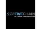 Fivechain: Premier Web Designing & SEO Company USA | Marketing Solutions
