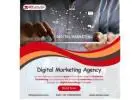 Digital Markting Agency