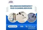 Swift Solutions: Bellingham's Emergency Rug Cleaning Services at Your Doorstep  