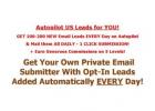 100-200 Autopilot US Opt-In Leads for YOU!