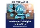 Invest in Success: Hire an SEO Freelancer for Digital Marketing 