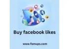 Buy Facebook Likes To Gain Popularity On Facebook