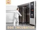 DP Incubators | Chicken Egg Incubator, Hatchery Machine