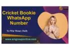  Maximizing Your Winnings with the Cricket Bookie WhatsApp Number 