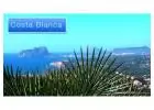 Where Do Expats Buy Homes On The Costa Blanca?