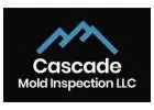 What Makes Us the Leading Mold Inspector in Skagit County? 