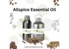 Buy Allspice Essential Oil