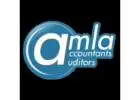 Online Business Tax Return: Amla Auditors INC. Provides Efficient Tax Filing Services