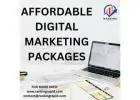 Conquering Online: Affordable Digital Marketing Packages for Your Business